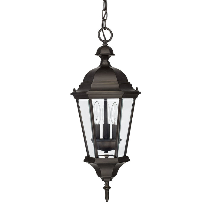 Carriage House 3-Light Outdoor Hanging Lantern - Lamps Expo