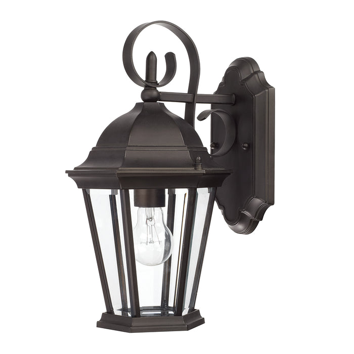 Carriage House 1-Light Outdoor Wall Lantern - Lamps Expo