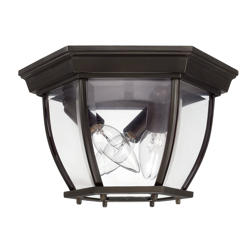 3 Light Outdoor Flush and Semi-Flush in Old Bronze