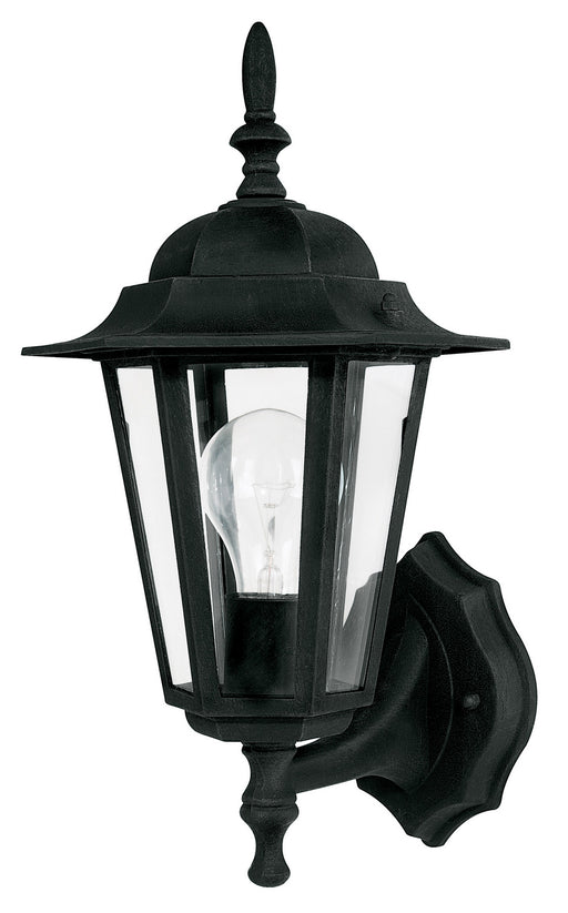 1-Light Outdoor Wall Lantern - Lamps Expo