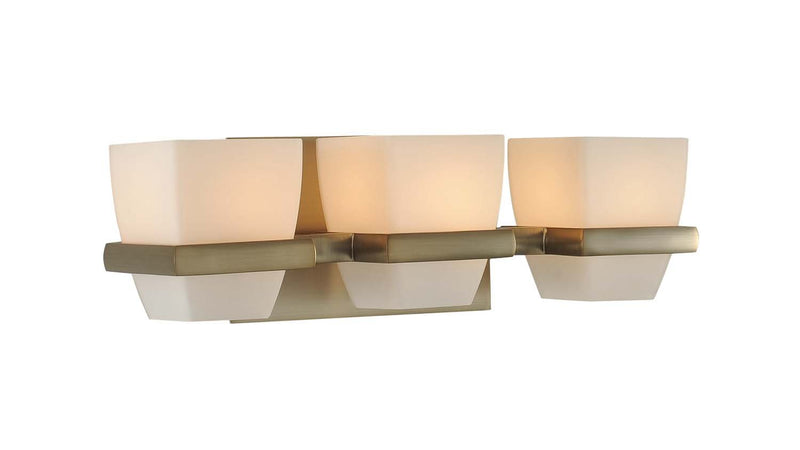 Malibu 3-Light Bath Vanity Light in Brushed Bronze