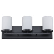 Nico 3-Light 20" Vanity Light in Black