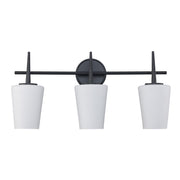ClassicHorizon 3-Light 24.4" Vanity Light in Black