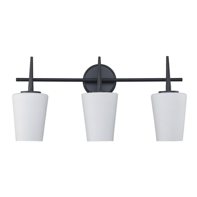 ClassicHorizon 3-Light 24.4" Vanity Light in Black