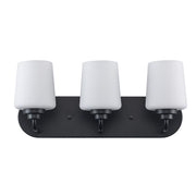 Liora 3-Light 18" Vanity Light in Black