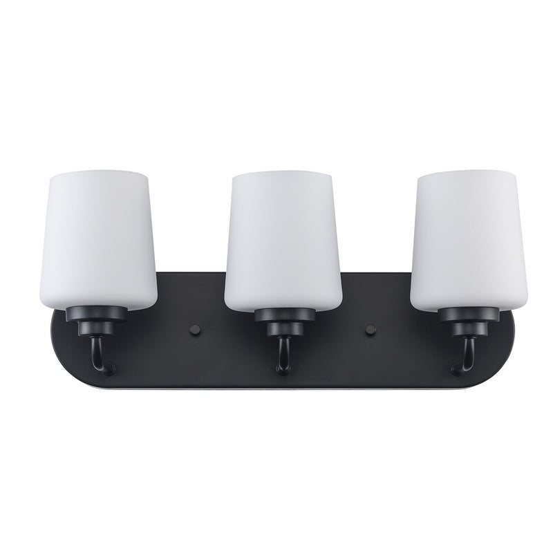Liora 3-Light 18" Vanity Light in Black