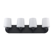 Liora 4-Light 24.4" Vanity Light in Black
