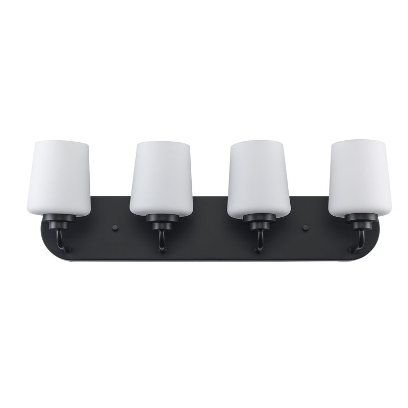 Liora 4-Light 24.4" Vanity Light in Black