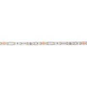 6TL 100-Foot 24V Dry Tape Light in High Output