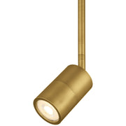 Cafe Dual Mount LED Semi-Flush Mount in Antique Brushed Brass