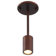 Cafe Dual Mount LED Semi-Flush Mount in Bronze