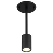 Cafe Dual Mount LED Semi-Flush Mount in Matte Black