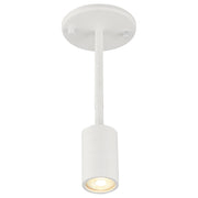 Cafe Dual Mount LED Semi-Flush Mount in Matte White