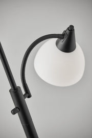 Piedmont 2-Light Torchiere Floor Lamp in Black