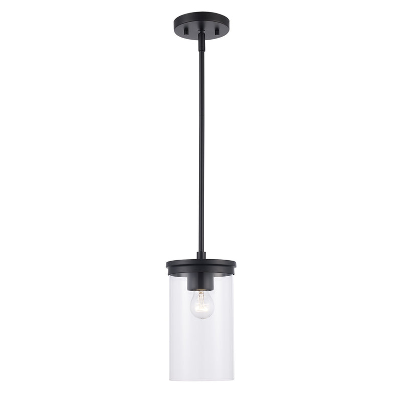 Carter 6" Mini Pendant in Black