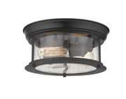 Sonna 2 Light Flush Mount in Matte Black