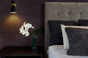 Soriano 1 Light 5.5" Wall Sconce in Matte Black + Heritage Brass in a room setting