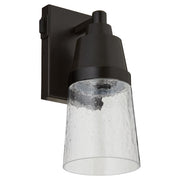Altamonte 12" LED Outdoor Wall Lantern in Bronze