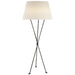 Lebon One Light Floor Lamp in Aged Iron