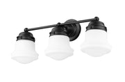 Vaughn 3 Light 22.5" Vanity in Matte Black