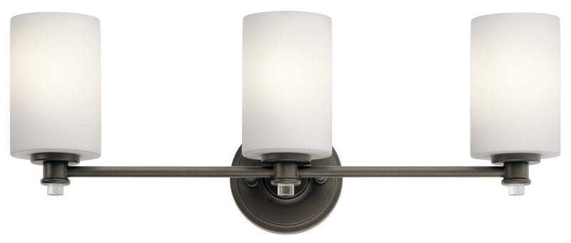 Joelson 3-Light Bath Vanity Light in Olde Bronze