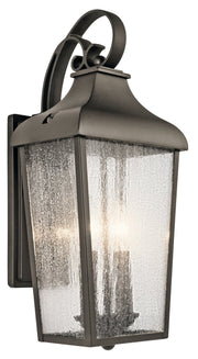 Forestdale 2-Light Medium Outdoor Wall Lantern in Olde Bronze