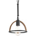 Trestle One Light Mini Pendant in Gilded Iron