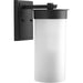 Hawthorne One Light Wall Lantern in Black
