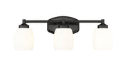 Kendrick 3 Light 23" Vanity in Matte Black