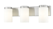 Burk 3 Light 22.5" Vanity in Brushed Nickel