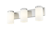 Burk 3 Light 22.5" Vanity in Brushed Nickel