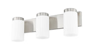 Burk 3 Light 22.5" Vanity in Brushed Nickel