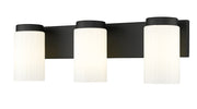Burk 3 Light 22.5" Vanity in Matte Black
