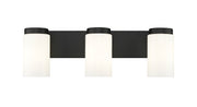 Burk 3 Light 22.5" Vanity in Matte Black