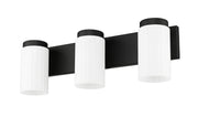 Burk 3 Light 22.5" Vanity in Matte Black
