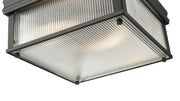 Carnaby 2 Light 13" Flush Mount, 6.25" Tall in Matte Black