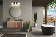 Annalise 3 Light 24" Vanity in Matte Black in a room setting