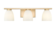 Naya 3 Light 24" Vanity in Modern Gold