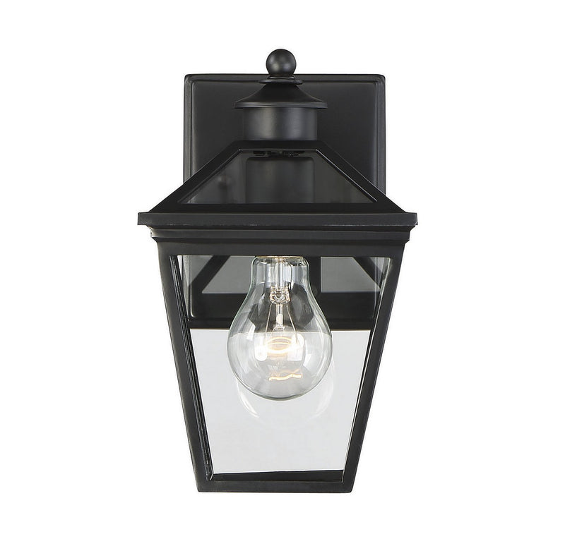 Ellijay Outdoor Wall Lantern in Black