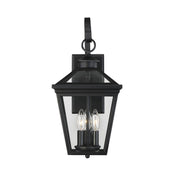 Ellijay 3-Light Outdoor Wall Lantern in Black