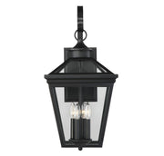 Ellijay 4-Light Outdoor Wall Lantern in Black