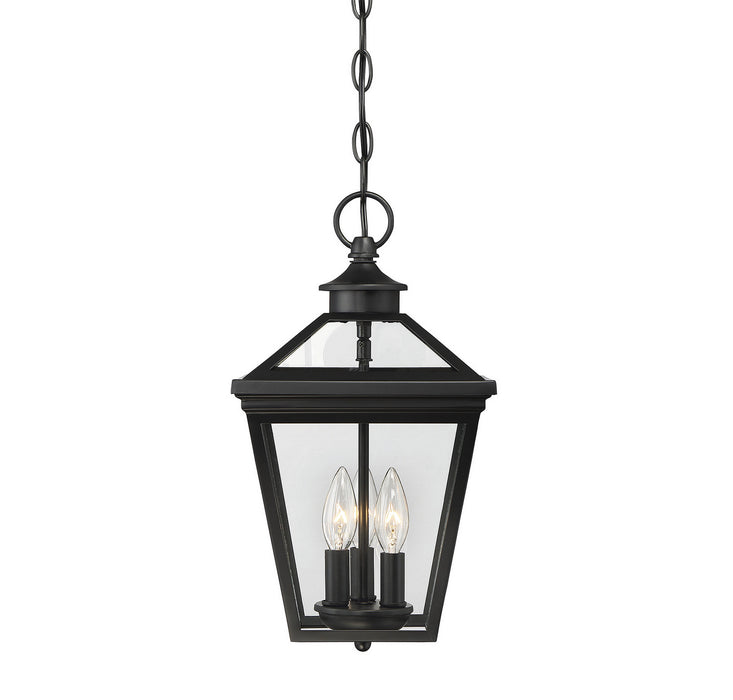 Ellijay 3-Light Outdoor Hanging Lantern - Lamps Expo