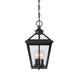 Ellijay 3-Light Outdoor Hanging Lantern - Lamps Expo