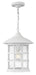 Freeport Large Hanging Lantern - Lamps Expo