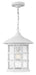 Freeport Large Hanging Lantern - Lamps Expo