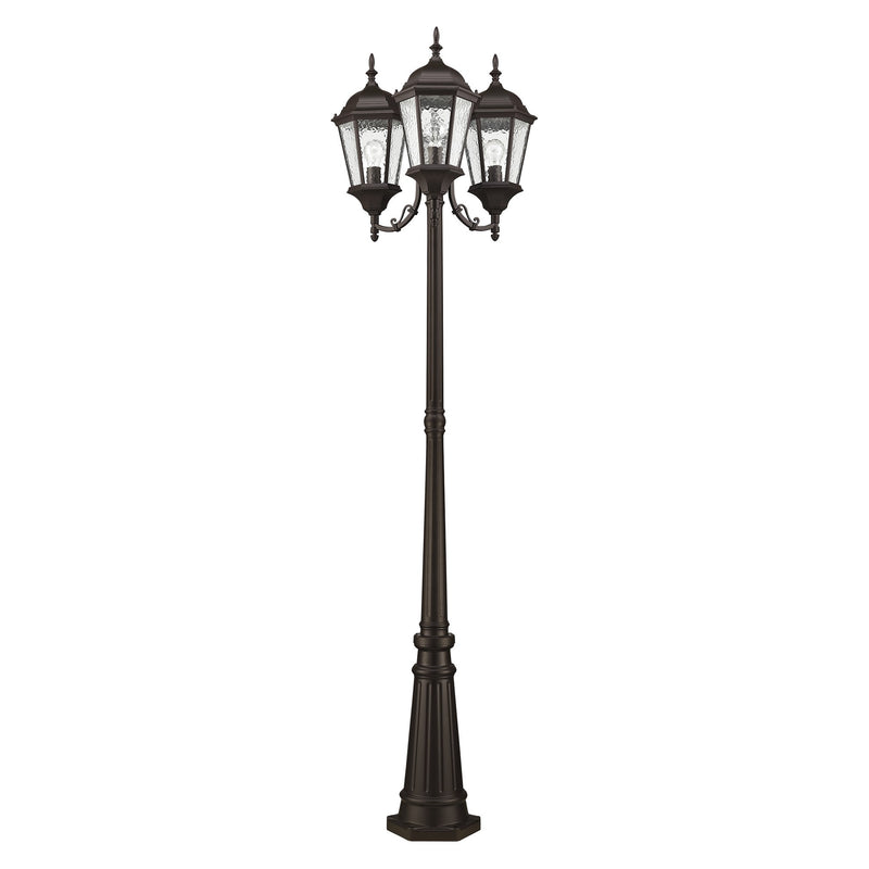 Hamilton 3-Light Outdoor Post Light in Bronze