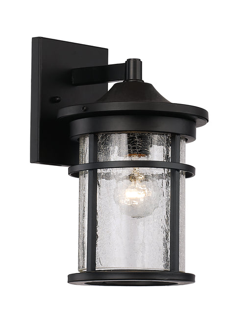Avalon 1-Light Wall Lantern in Black with Crackled Glass