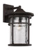 Avalon 1-Light Wall Lantern in Rust with Crackled Glass