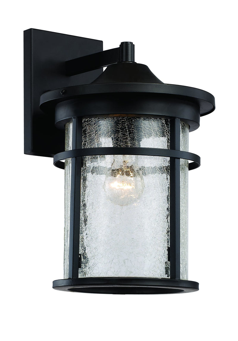 Avalon 17.75" Outdoor Wall Lantern in Black