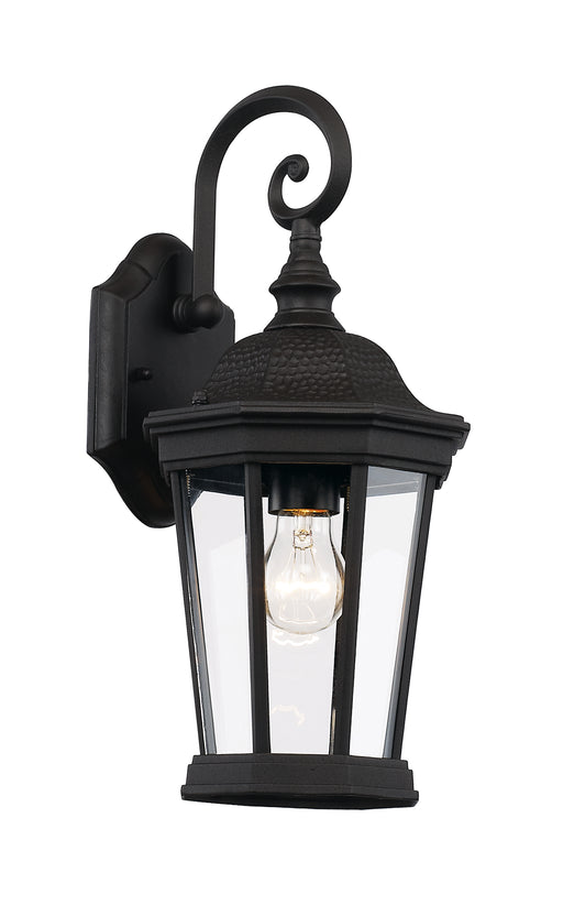 Westfield 1-Light Wall Lantern in Black with Clear Glass